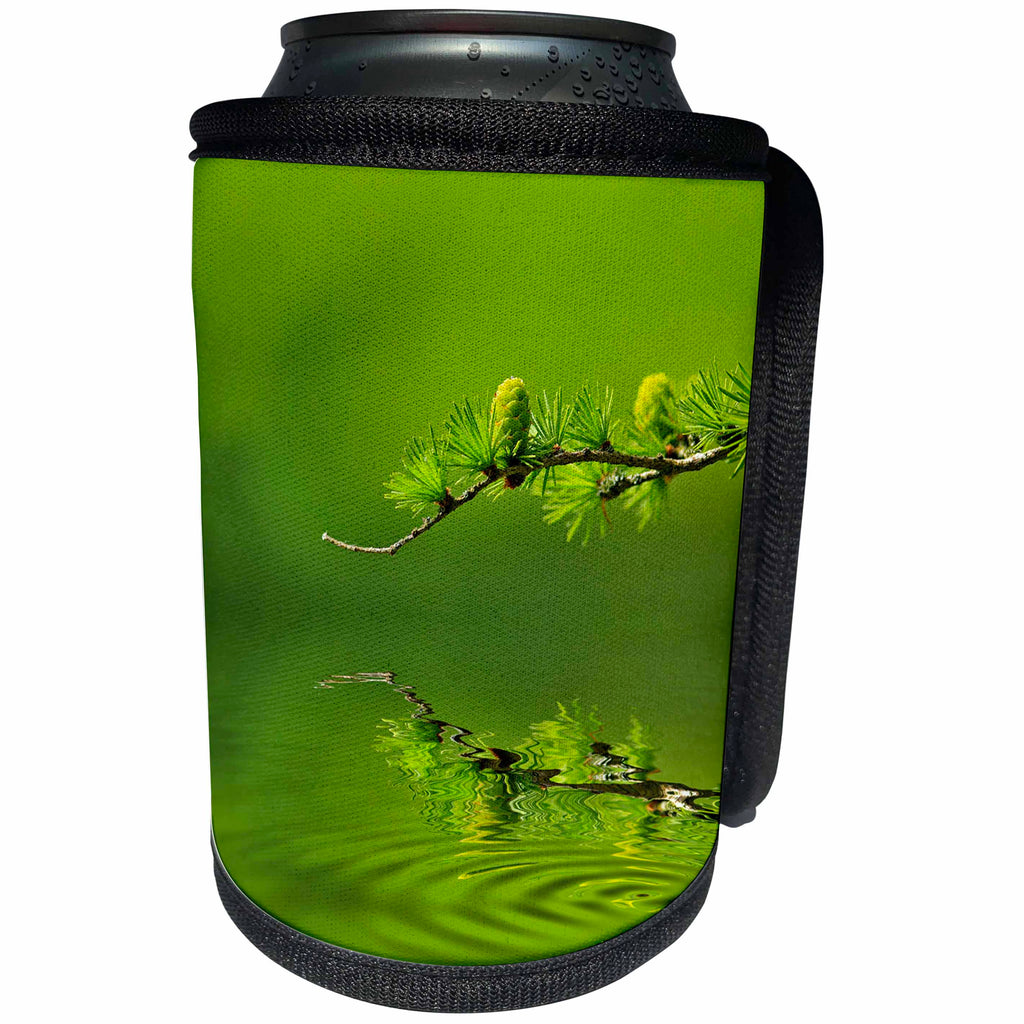 3dRose Andrea Haase Nature Photography - Green Larch Twig Over Reflecting Water Photography - Can Cooler Bottle Wrap (cc_268195)