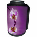 3dRose Andrea Haase Nature Photography - Single Purple Orchid Flower Over Reflecting Water Photography - Can Cooler Bottle Wrap (cc_268196)