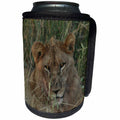 3dRose Angelique Cajam Big Cat Safari - Young female lion in the grass - Can Cooler Bottle Wrap (cc_26823)