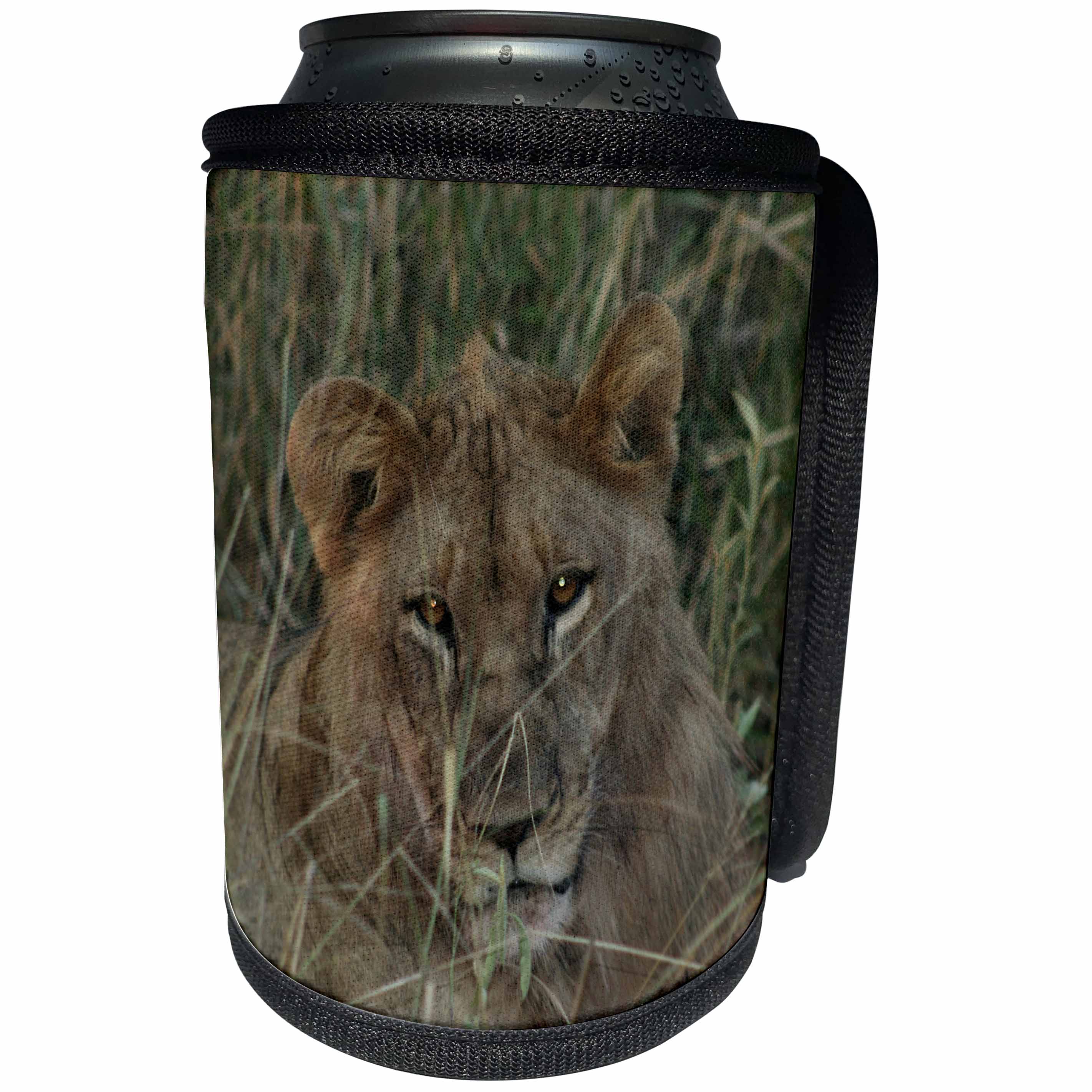 3dRose Angelique Cajam Big Cat Safari - Young female lion in the grass - Can Cooler Bottle Wrap (cc_26823)