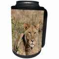 3dRose Angelique Cajam Big Cat Safari - Young lion in the grass - Can Cooler Bottle Wrap (cc_26826)