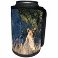 3dRose Angelique Cajam Big Cat Safari - Young female lion searching for food - Can Cooler Bottle Wrap (cc_26827)
