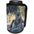 3dRose Angelique Cajam Big Cat Safari - Lion relaxing - Can Cooler Bottle Wrap (cc_26830)