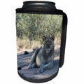 3dRose Angelique Cajam Big Cat Safari - Young lion in the grass - Can Cooler Bottle Wrap (cc_26832)