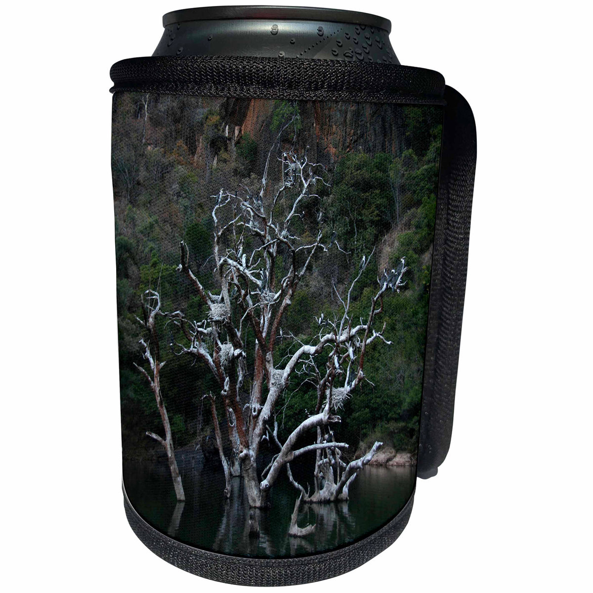3dRose Angelique Cajams Landscapes Blyde Canyon - A tree in the lake - Can Cooler Bottle Wrap (cc_26835)