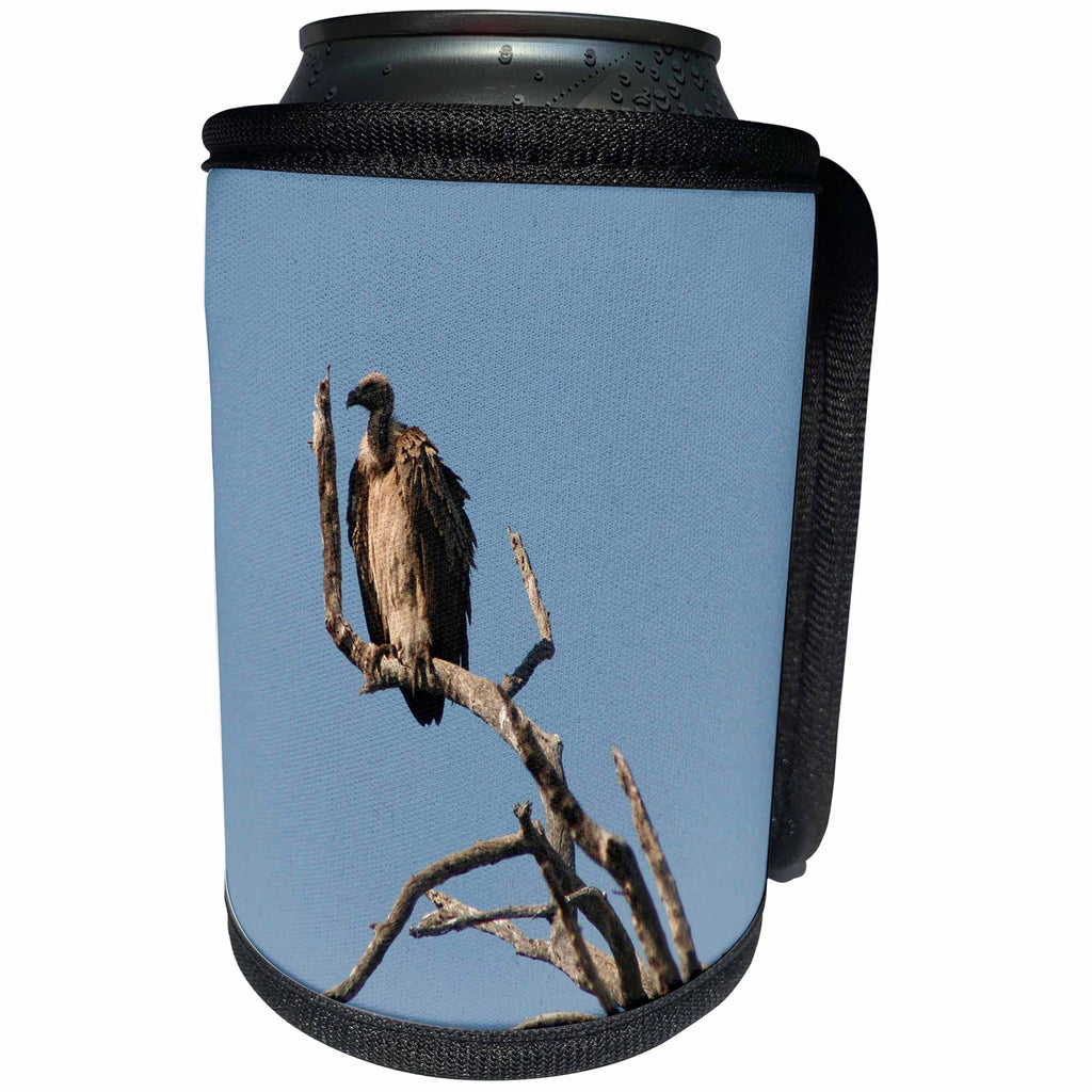 3dRose Angelique Cajams Safari Birds - South African Vulture in a tree - Can Cooler Bottle Wrap (cc_26837)