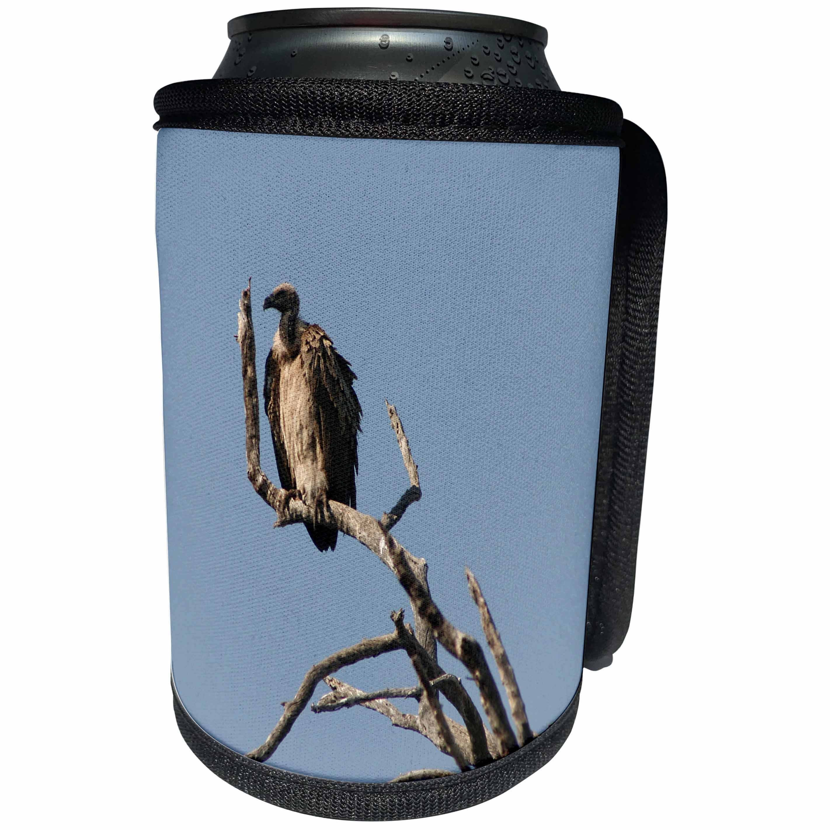 3dRose Angelique Cajams Safari Birds - South African Vulture in a tree - Can Cooler Bottle Wrap (cc_26837)