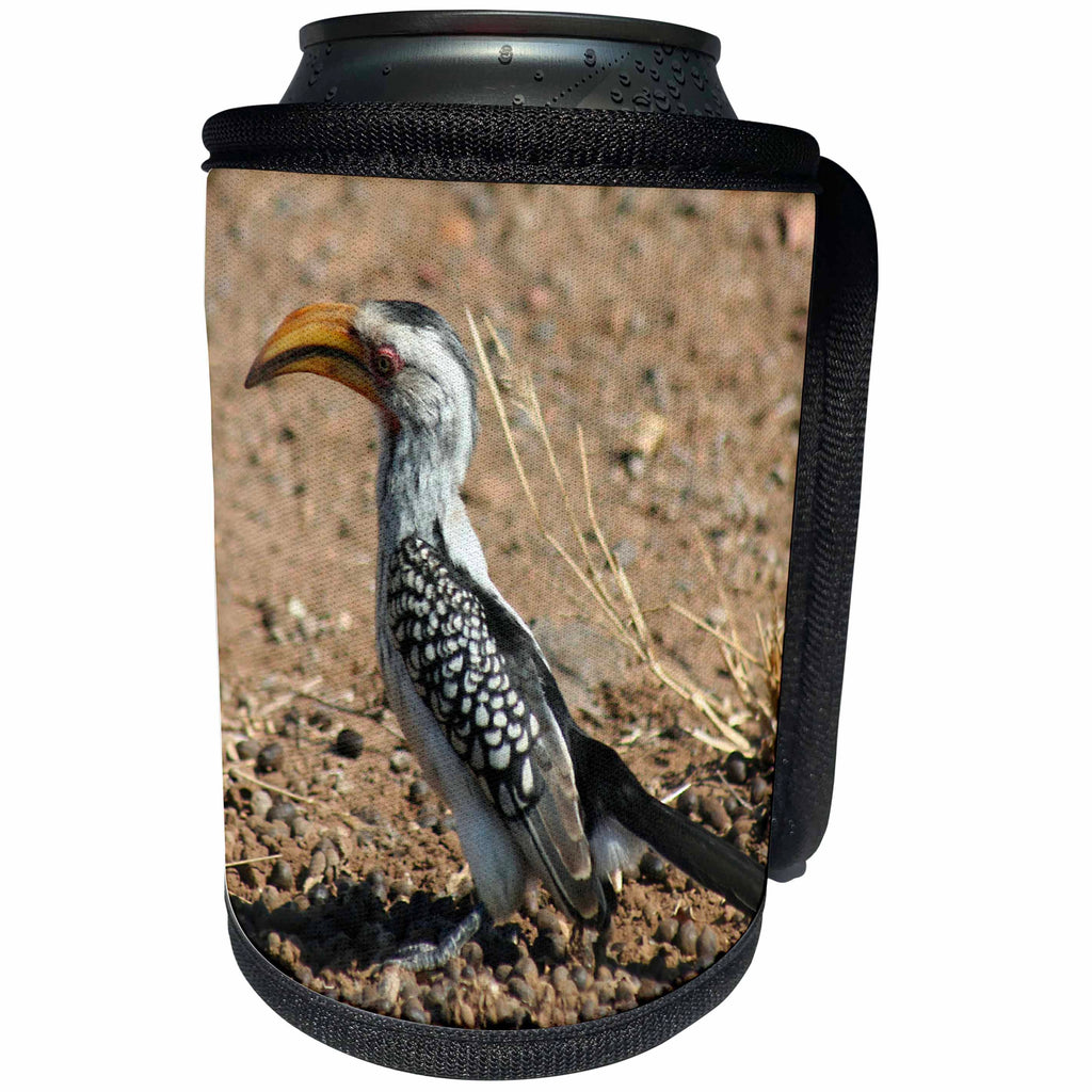 3dRose Angelique Cajams Safari Birds - South African Hornbill - Can Cooler Bottle Wrap (cc_26838)