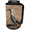 3dRose Angelique Cajams Safari Birds - South African Hornbill - Can Cooler Bottle Wrap (cc_26838)
