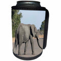3dRose Angelique Cajams Safari Elephants - Kruger Elephant on road - Can Cooler Bottle Wrap (cc_26841)