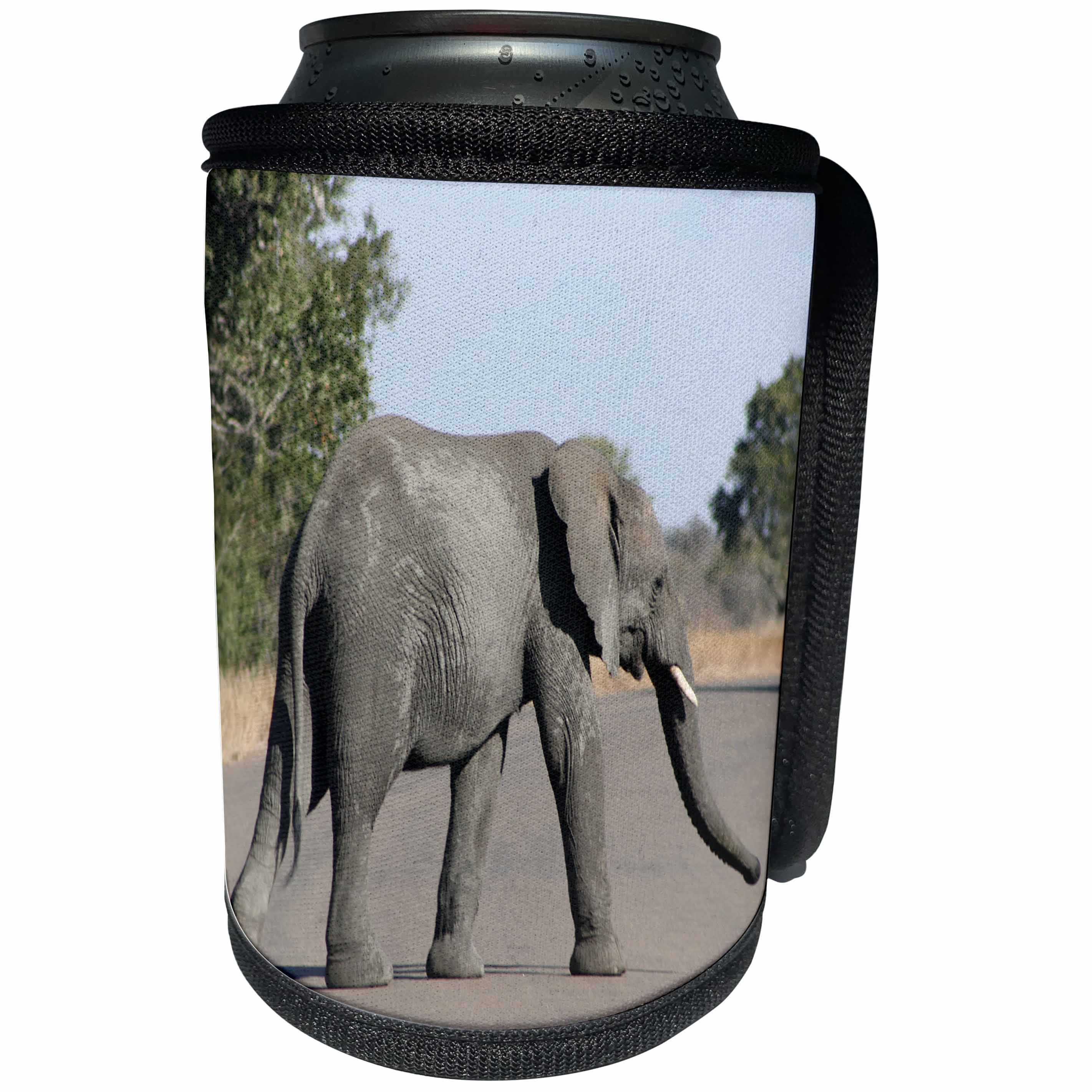 3dRose Angelique Cajams Safari Elephants - Kruger Elephant on road - Can Cooler Bottle Wrap (cc_26841)