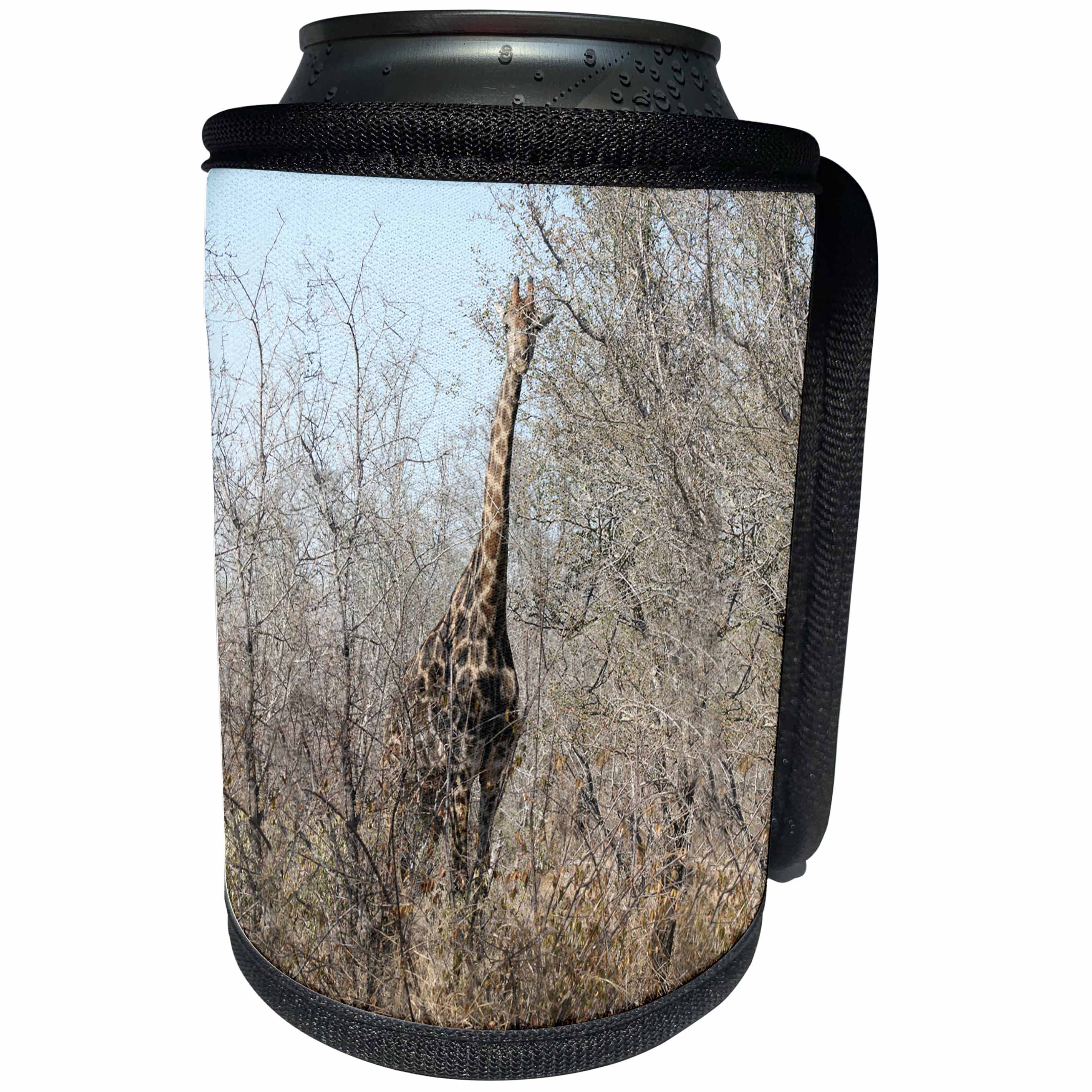 3dRose Angelique Cajams Safari Giraffes - Kruger Giraffe Full view - Can Cooler Bottle Wrap (cc_26842)