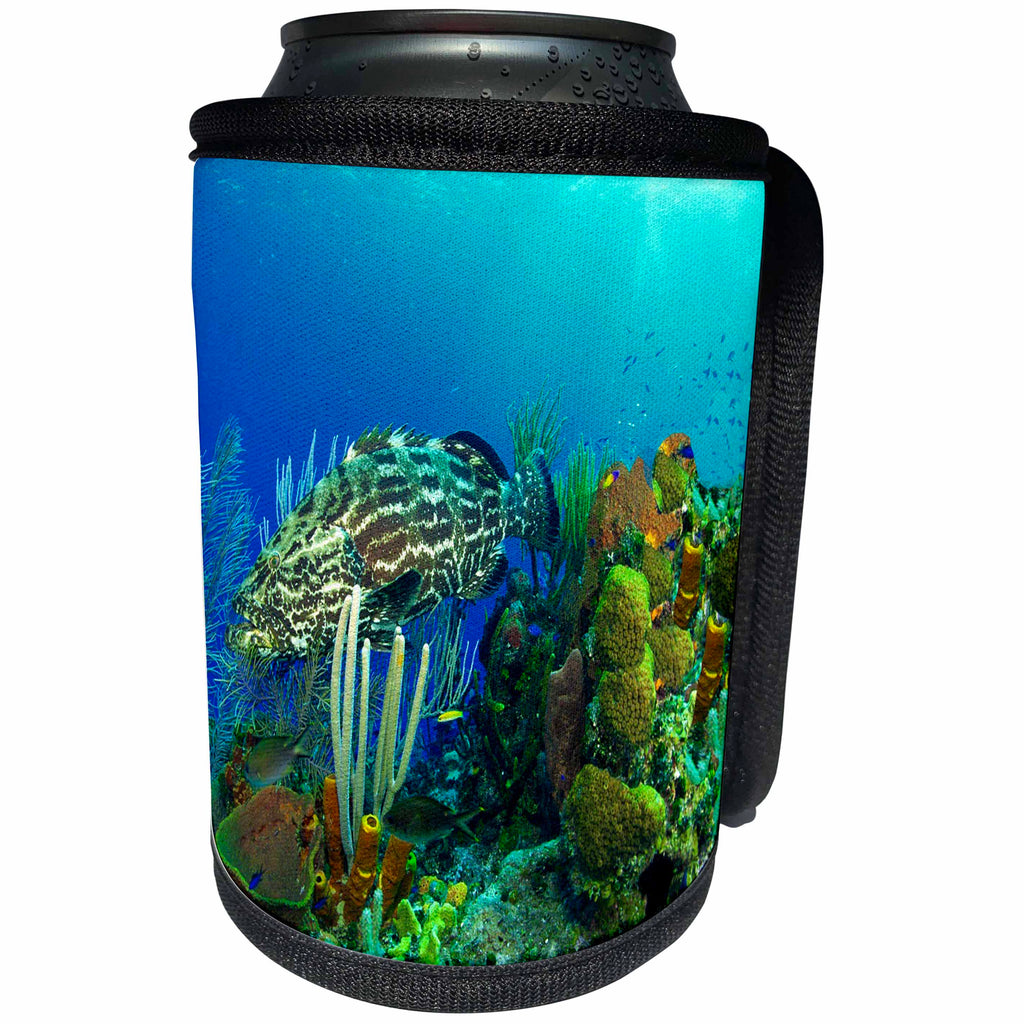 3dRose Ocean Life - Bass Fish Underwater - Can Cooler Bottle Wrap (cc_26848)