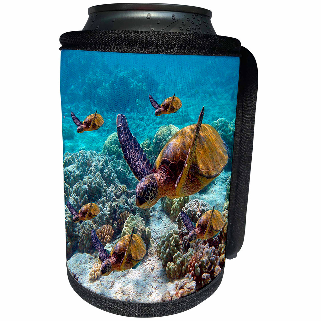3dRose Ocean Life - Sea Turtles - Can Cooler Bottle Wrap (cc_26850)