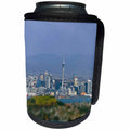 3dRose Cities Of The World - City Of Auckland, New Zealand - Can Cooler Bottle Wrap (cc_268580)