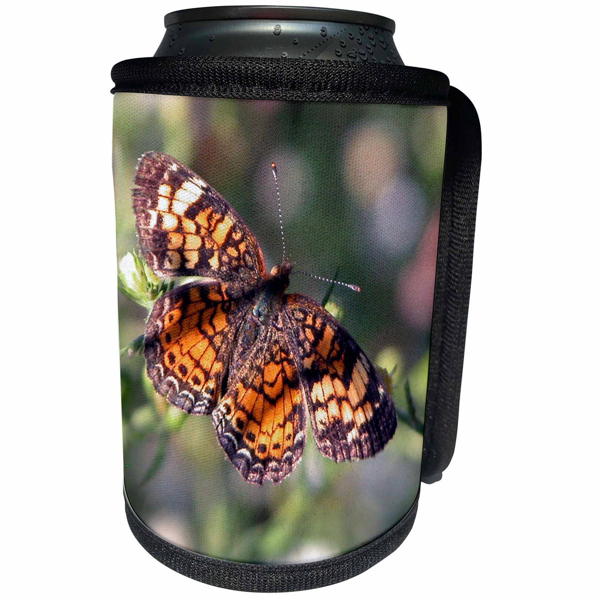 3dRose Beverly Turner Butterfly Photography - Pearl Cresent Butterfly in Flight - Can Cooler Bottle Wrap (cc_26860)