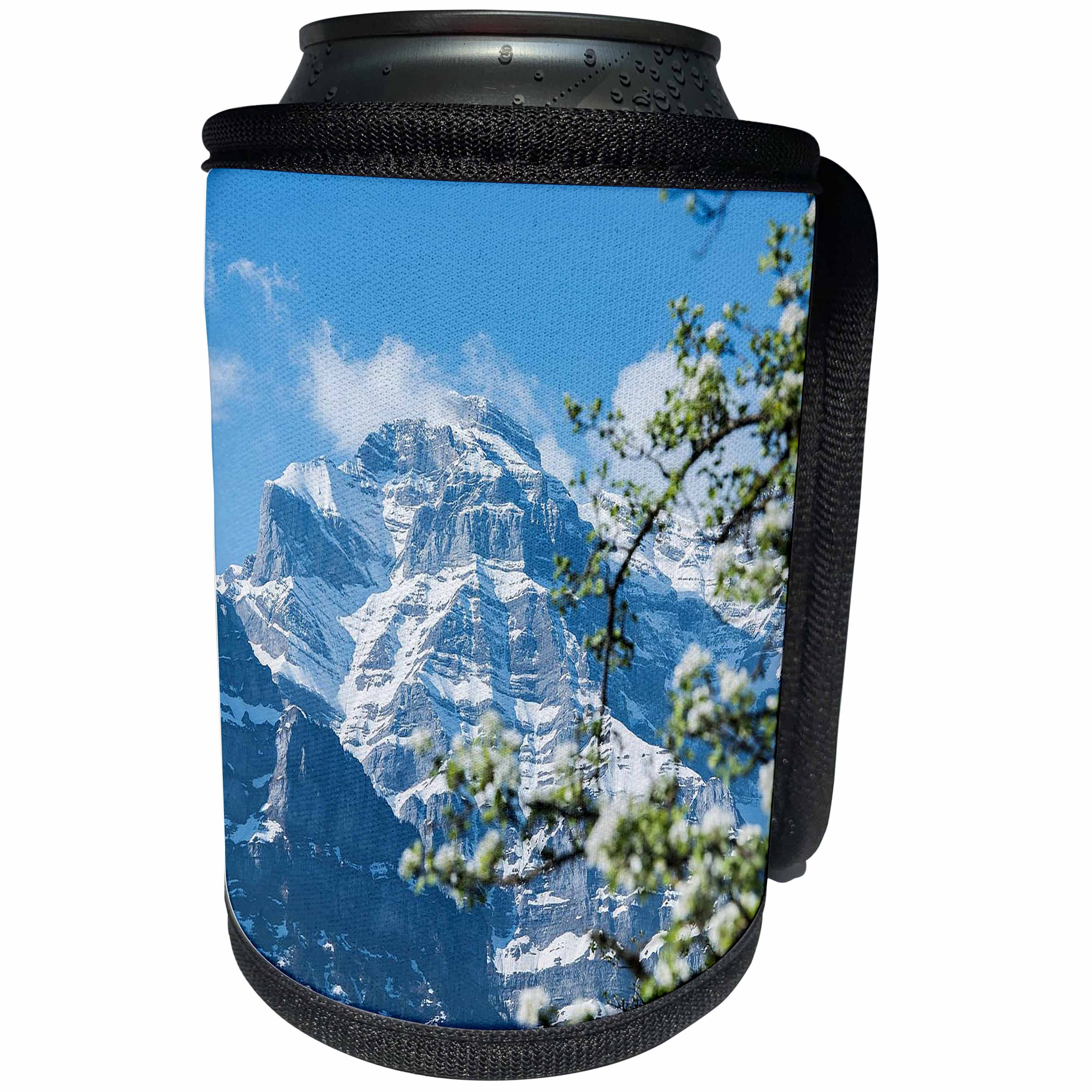 3dRose Cities Of The World - Canton Of Glarus In Switzerland - Can Cooler Bottle Wrap (cc_268639)