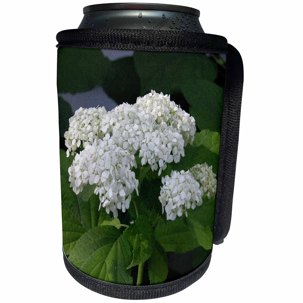 3dRose Beverly Turner Flora Photography - White Hydrangeas - Can Cooler Bottle Wrap (cc_26864)