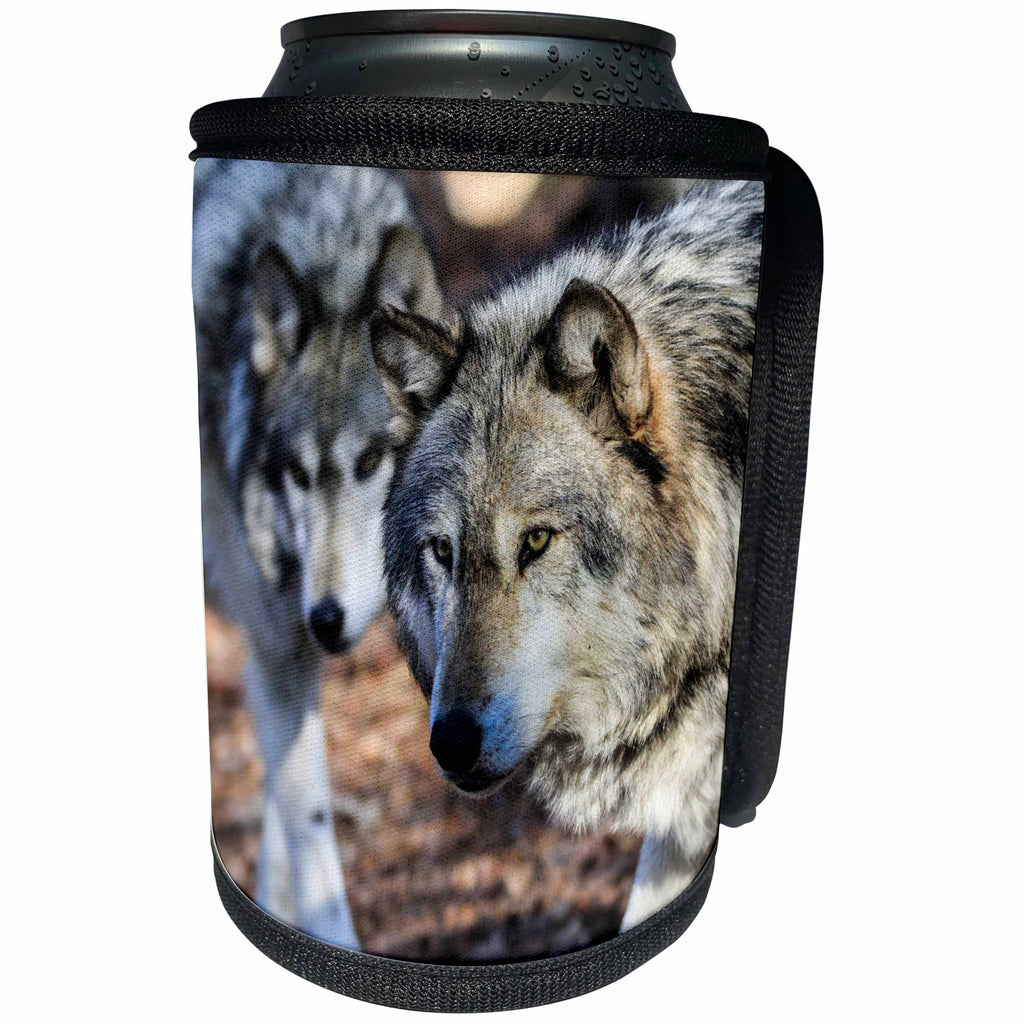 3dRose Bob Molchan Photography - Animals - Gray Wolf With A Friend - Can Cooler Bottle Wrap (cc_269373)
