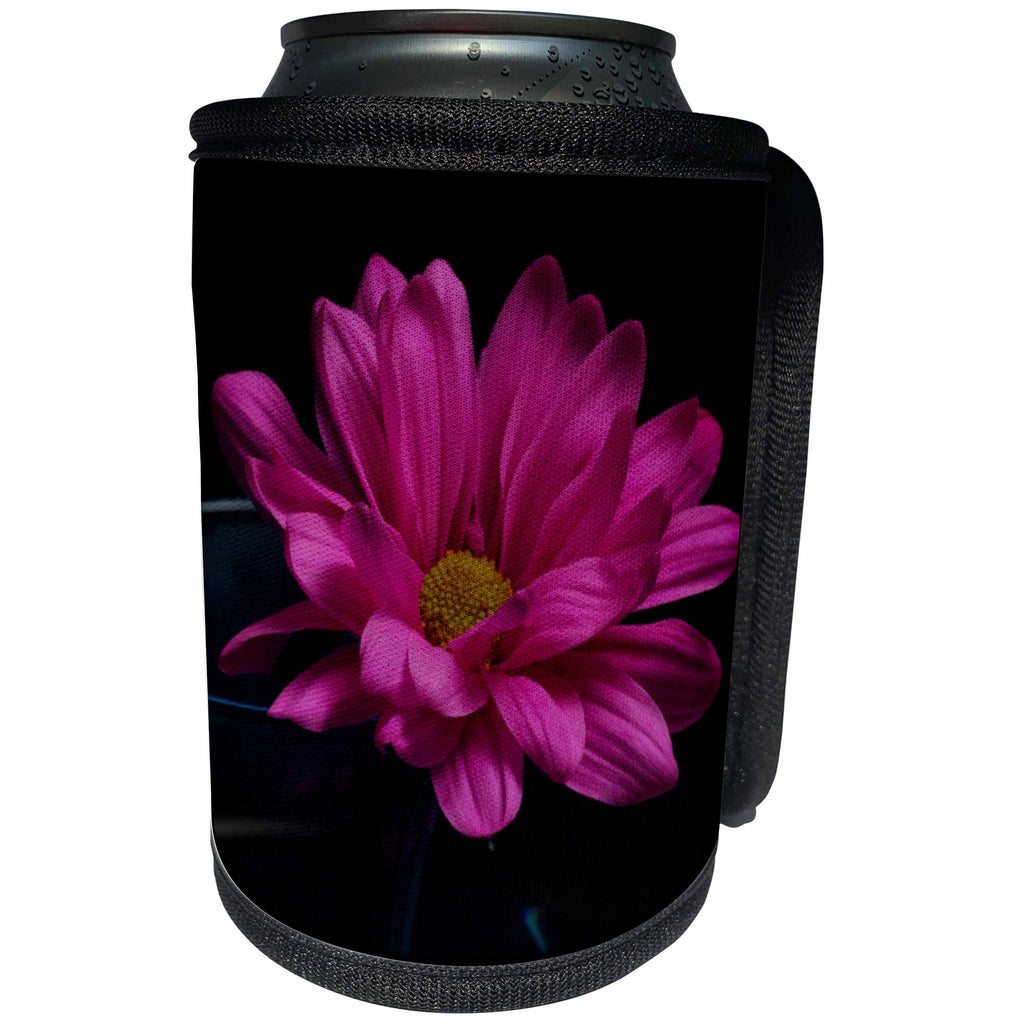 3dRose Bob Molchan Photography - Flowers - Pink Daisy In Wine Glass - Can Cooler Bottle Wrap (cc_269377)