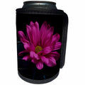 3dRose Bob Molchan Photography - Flowers - Pink Daisy In Wine Glass - Can Cooler Bottle Wrap (cc_269377)