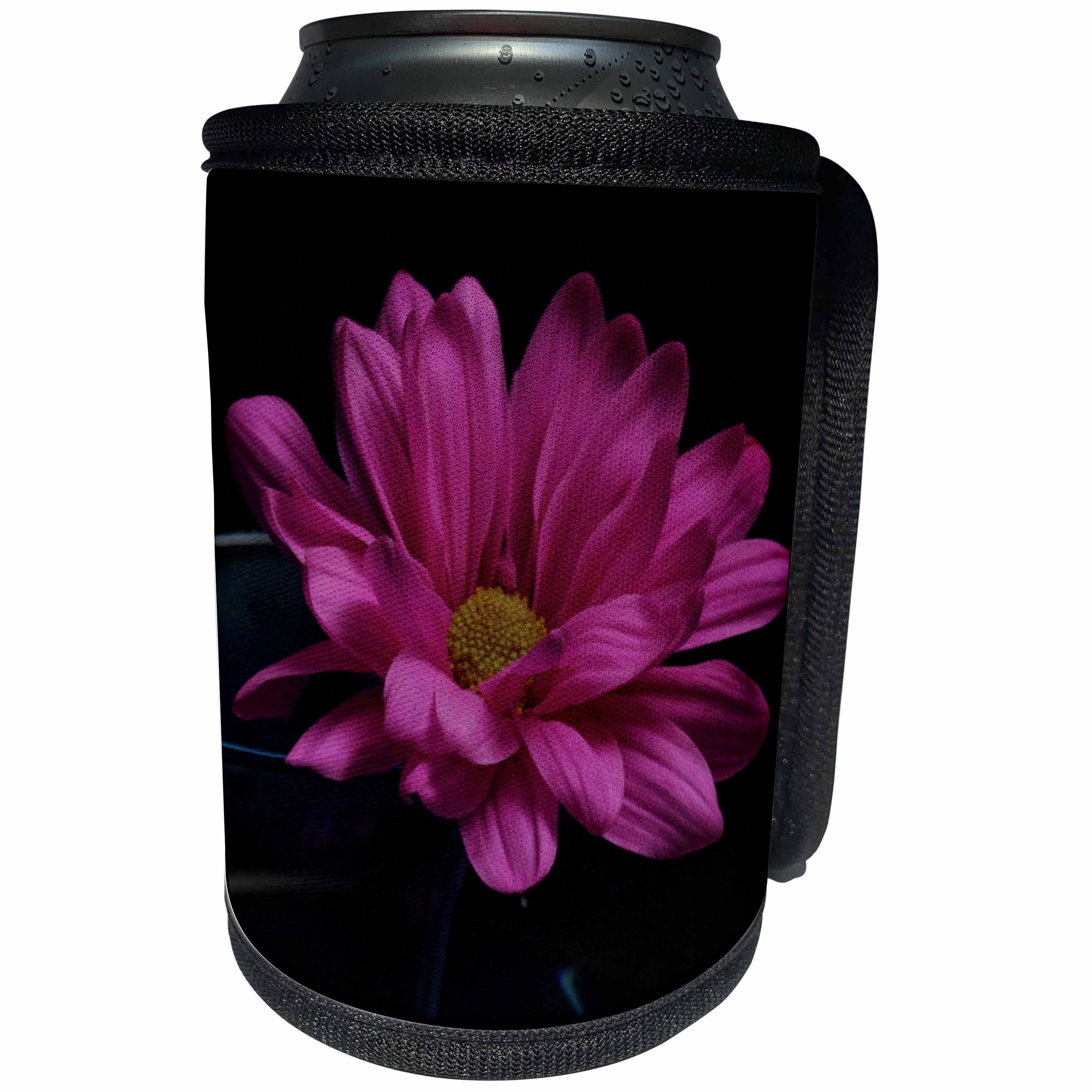 3dRose Bob Molchan Photography - Flowers - Pink Daisy In Wine Glass - Can Cooler Bottle Wrap (cc_269377)