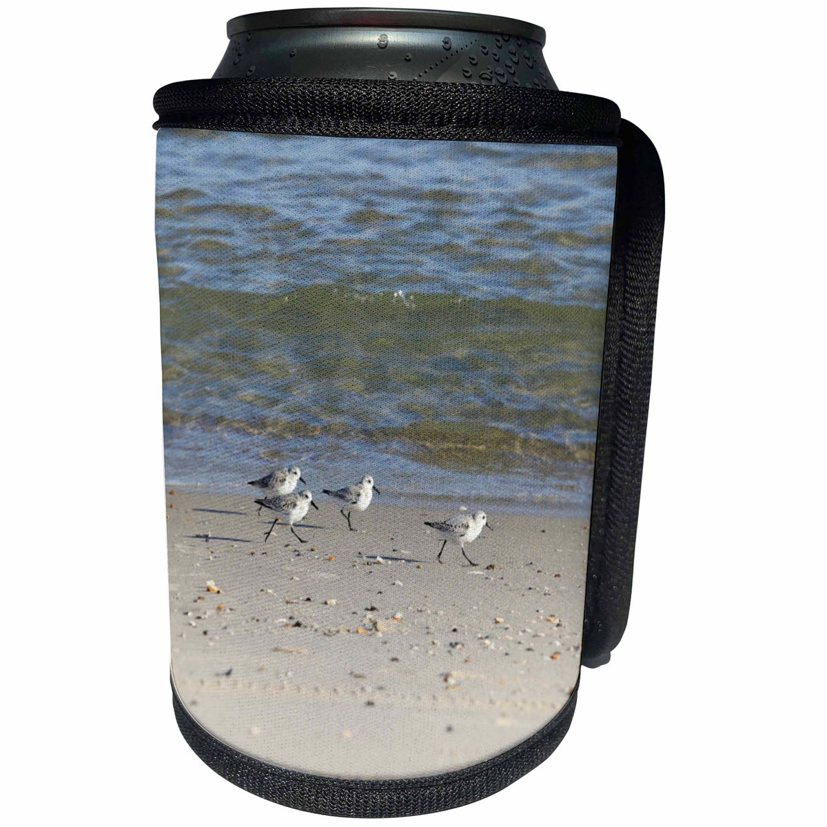 3dRose Bob Molchan Photography - Animals - Piping Plovers Running On The Sand - Can Cooler Bottle Wrap (cc_269379)