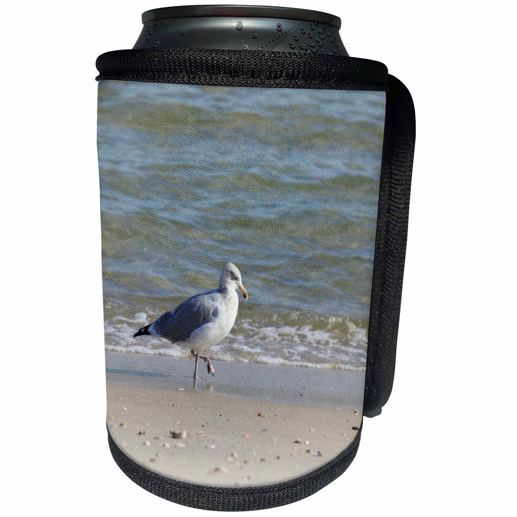 3dRose Bob Molchan Photography - Animals - Seagull Searching The Sand - Can Cooler Bottle Wrap (cc_269382)