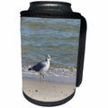 3dRose Bob Molchan Photography - Animals - Seagull Searching The Sand - Can Cooler Bottle Wrap (cc_269382)