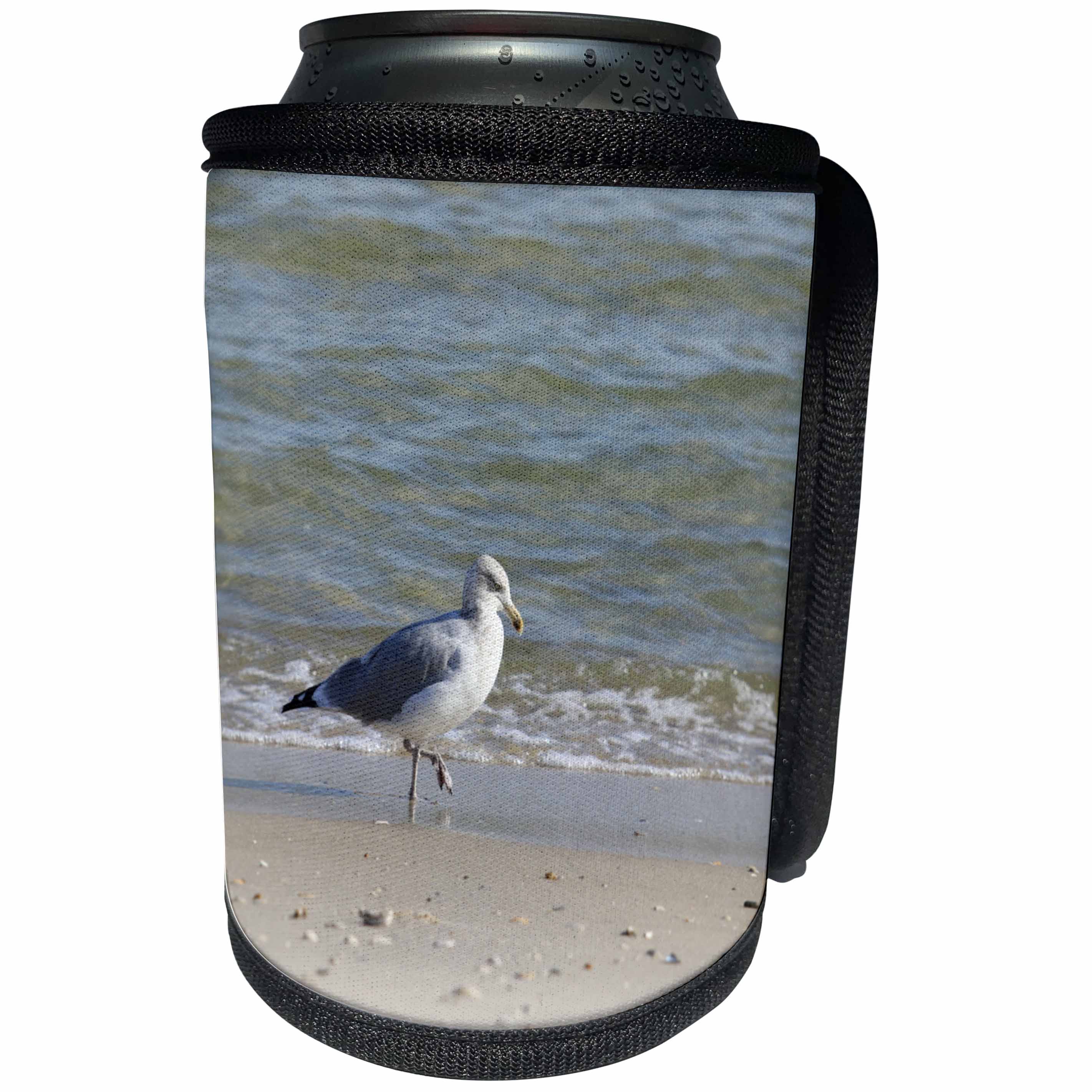 3dRose Bob Molchan Photography - Animals - Seagull Searching The Sand - Can Cooler Bottle Wrap (cc_269382)