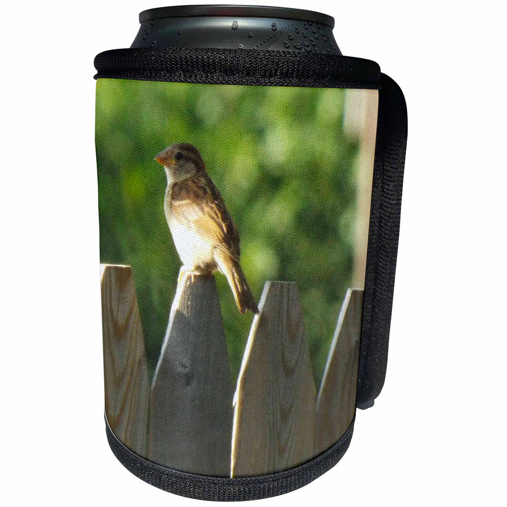 3dRose Renderly Yours Birds - Cute Little Sparrow On Fence - Can Cooler Bottle Wrap (cc_269385)