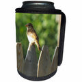 3dRose Renderly Yours Birds - Cute Little Sparrow On Fence - Can Cooler Bottle Wrap (cc_269385)