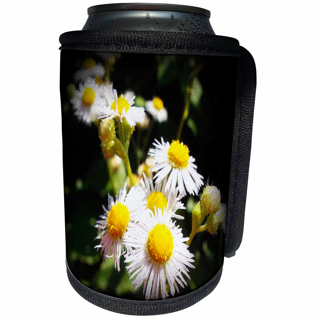 3dRose Renderly Yours Florals - Beautiful Like A Daisy, Small White And Yellow Summer Flower - Can Cooler Bottle Wrap (cc_269392)