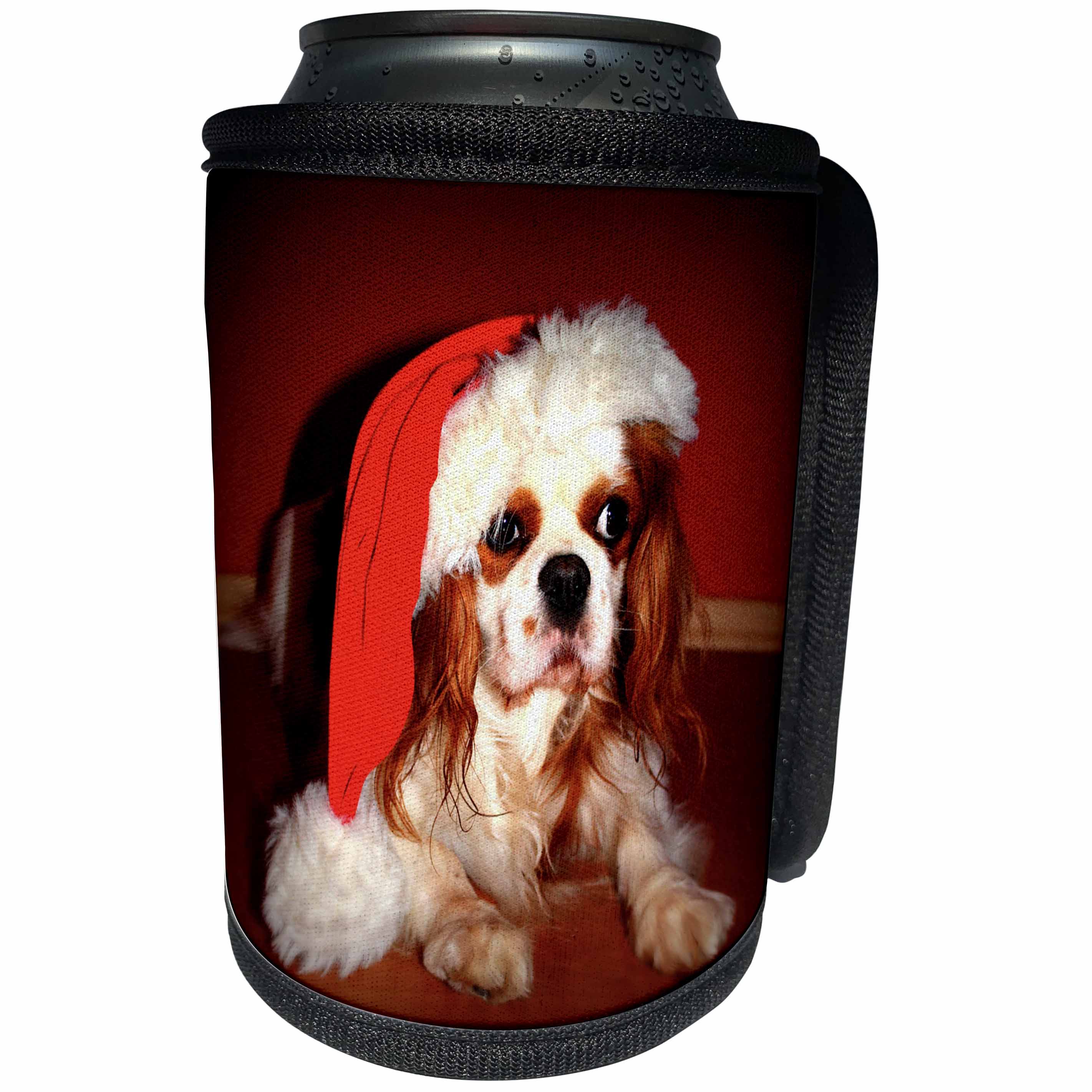 3dRose Sandy Mertens Christmas Animals - Christmas Hat on Adorable Cavalier King Charles Spaniel Dog - Can Cooler Bottle Wrap (cc_269510)