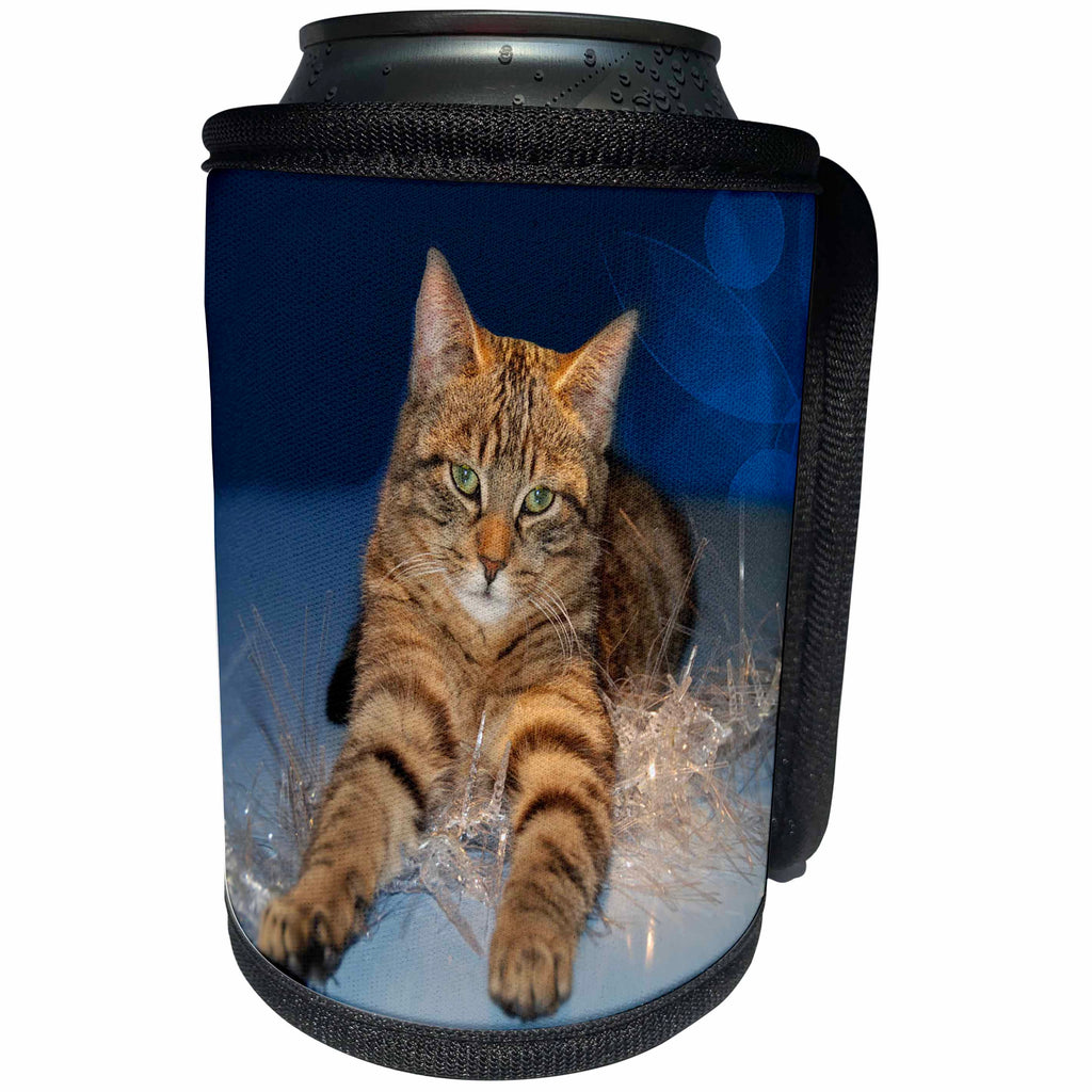 3dRose Sandy Mertens Christmas Animals - Striped Cat Laying on Christmas Icicle String Lights - Can Cooler Bottle Wrap (cc_269535)