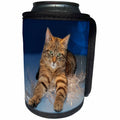3dRose Sandy Mertens Christmas Animals - Striped Cat Laying on Christmas Icicle String Lights - Can Cooler Bottle Wrap (cc_269535)