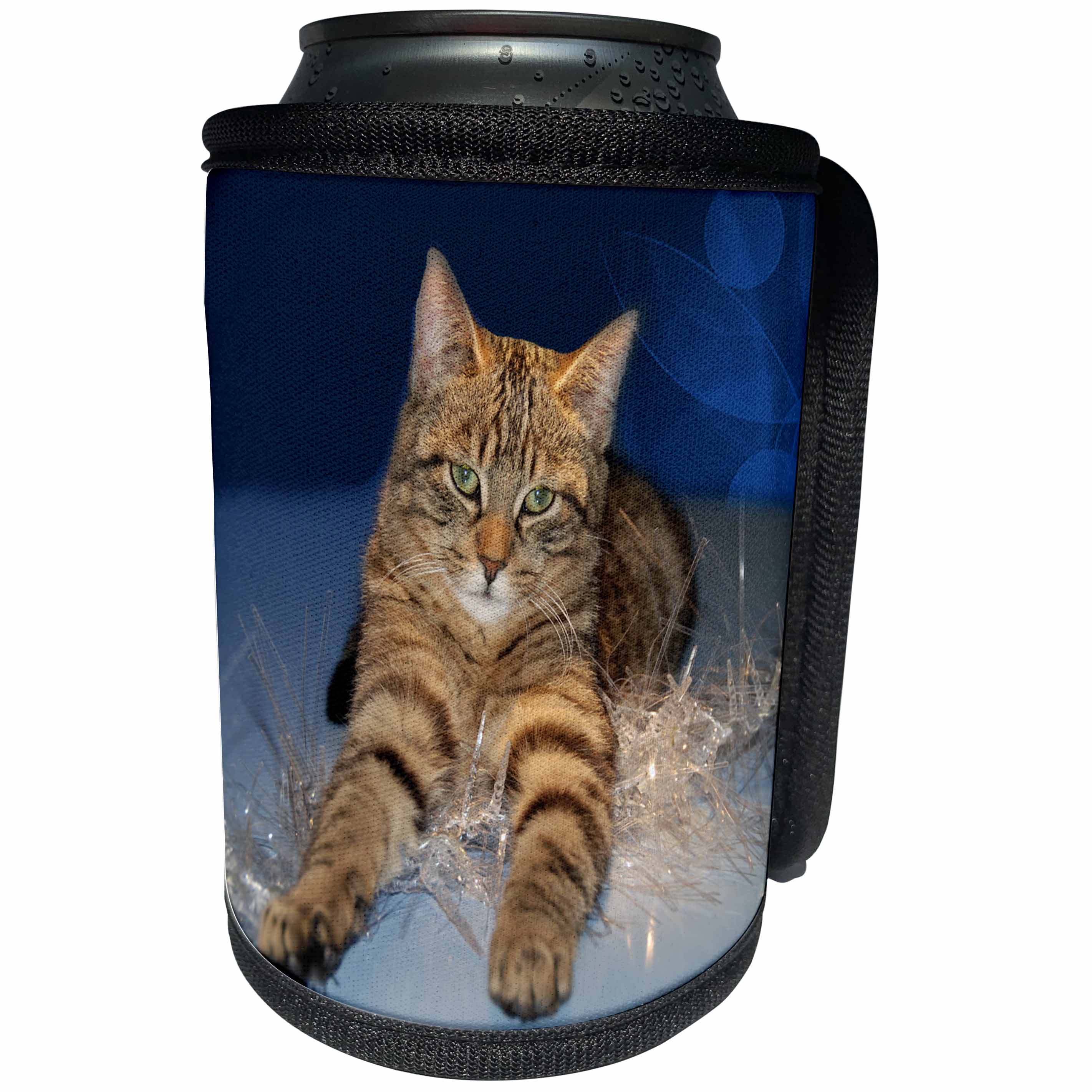 3dRose Sandy Mertens Christmas Animals - Striped Cat Laying on Christmas Icicle String Lights - Can Cooler Bottle Wrap (cc_269535)