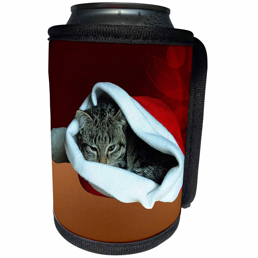 3dRose Sandy Mertens Christmas Animals - Gray Striped Kitten in Santa Hat with Red Christmas Ornament Background - Can Cooler Bottle Wrap (cc_269540)