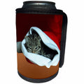 3dRose Sandy Mertens Christmas Animals - Gray Striped Kitten in Santa Hat with Red Christmas Ornament Background - Can Cooler Bottle Wrap (cc_269540)