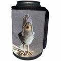 3dRose Sandy Mertens Christmas Animals - Toy Craft Bird Wearing Crochet Hat in a Fake Snow Scene - Can Cooler Bottle Wrap (cc_269542)