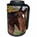 3dRose Roni Chastain Photography - Brown horse - Can Cooler Bottle Wrap (cc_269613)