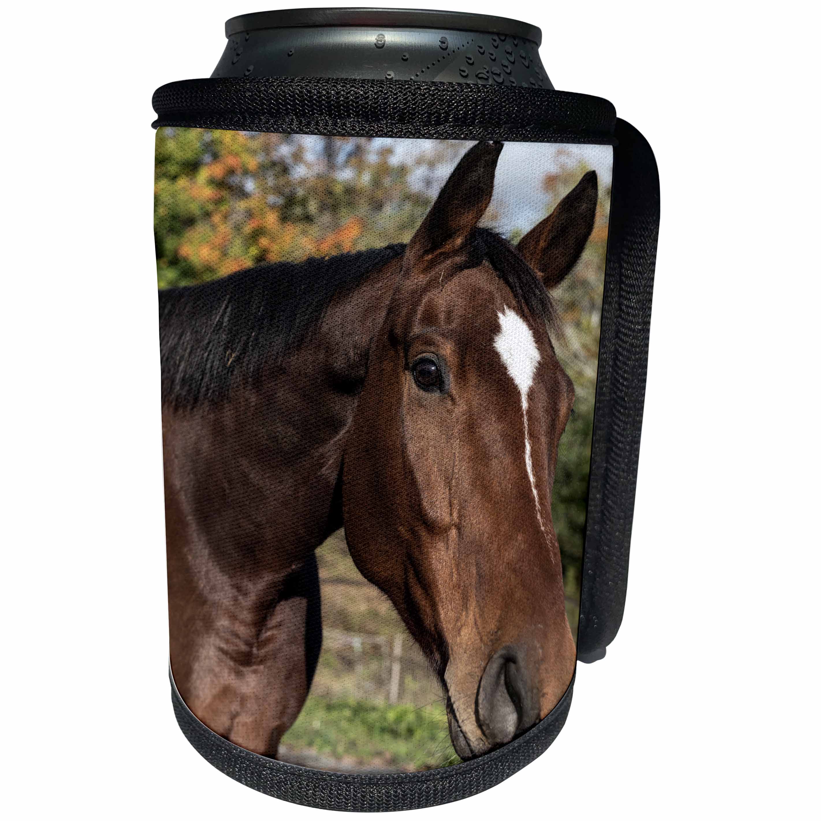 3dRose Roni Chastain Photography - Brown horse - Can Cooler Bottle Wrap (cc_269613)