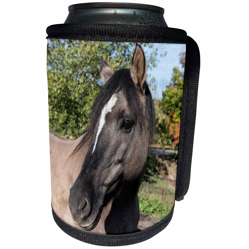 3dRose Roni Chastain Photography - Grey Horse - Can Cooler Bottle Wrap (cc_269615)
