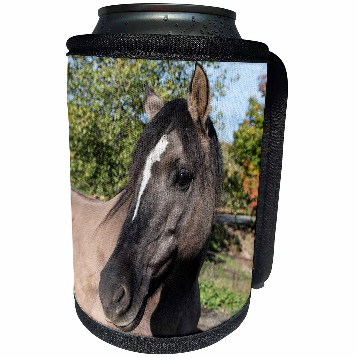3dRose Roni Chastain Photography - Grey Horse - Can Cooler Bottle Wrap (cc_269615)