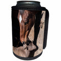 3dRose Roni Chastain Photography - Horse and Goat - Can Cooler Bottle Wrap (cc_269616)