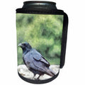 3dRose Taiche - Watercolor - Blackbird - Crows Everywhere Are Equally Black - Can Cooler Bottle Wrap (cc_269762)