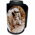 3dRose Scenes from the Past Magic Lantern Slides - Vintage Bull Circa 1890 Farming and Agriculture - Can Cooler Bottle Wrap (cc_269829)