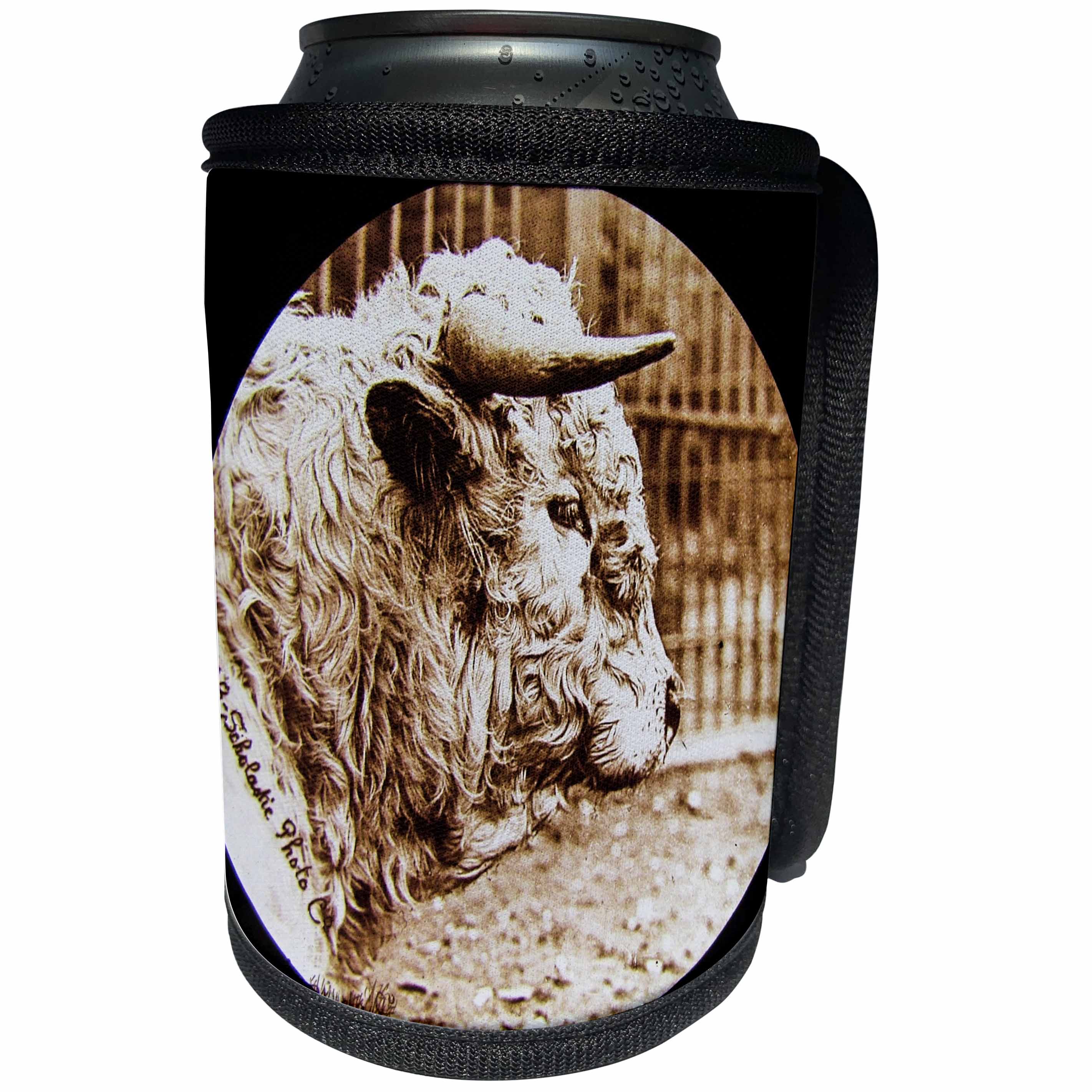 3dRose Scenes from the Past Magic Lantern Slides - Vintage Bull Circa 1890 Farming and Agriculture - Can Cooler Bottle Wrap (cc_269829)