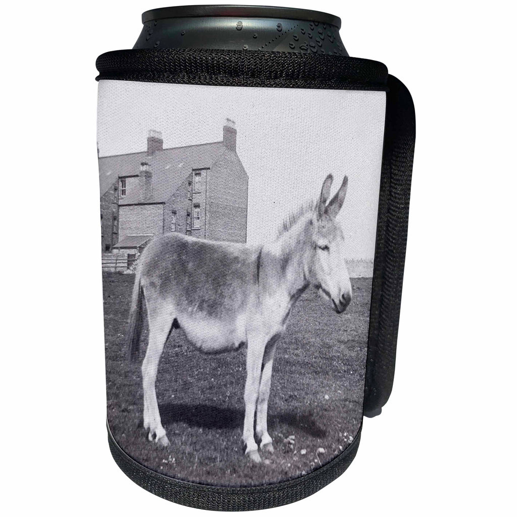 3dRose Scenes from the Past Magic Lantern Slides - Vintage Welsh Donkey Prestatyn Denbighshire Wales Circa 1890 - Can Cooler Bottle Wrap (cc_269831)