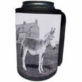 3dRose Scenes from the Past Magic Lantern Slides - Vintage Welsh Donkey Prestatyn Denbighshire Wales Circa 1890 - Can Cooler Bottle Wrap (cc_269831)